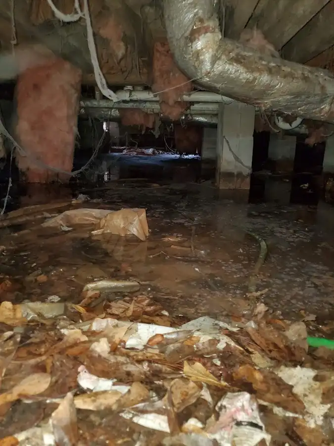 Crawl space flood assessment for Commercial Water Damage Restoration in Bluffton