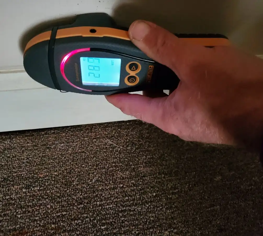 Moisture detection at baseboard during Sewage Cleanup & Sanitation in Bluffton